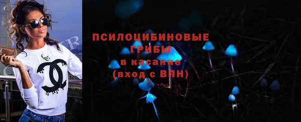 мяу мяу мука Аркадак