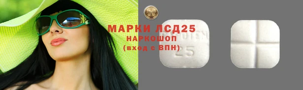 PSILOCYBIN Арсеньев